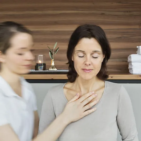 Stadthotel Brunner 4* Schladming